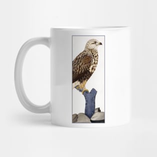 Buteo lagopus by Ferdinand von Wright Mug